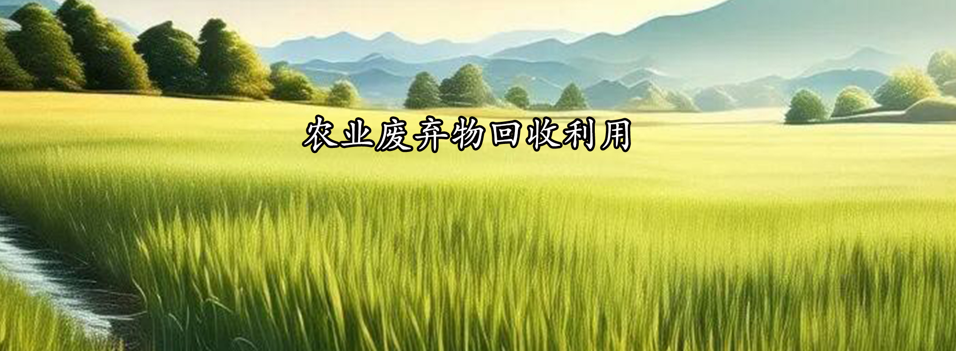 通栏图片