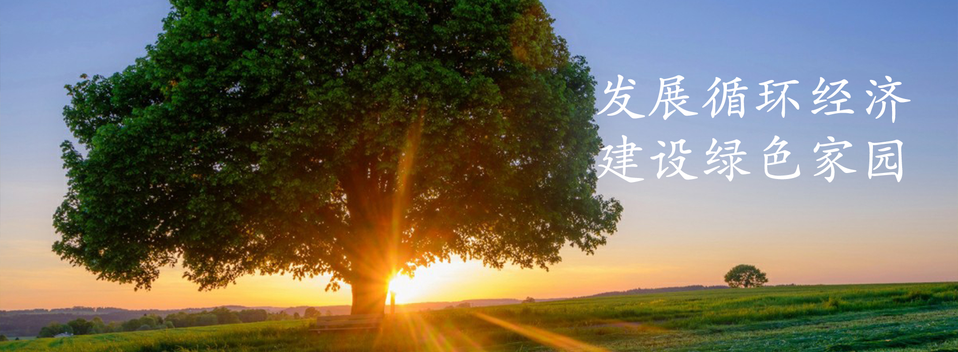 通栏图片
